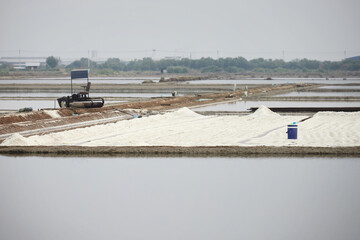 Dried salt at salt pan ready for harvesting
