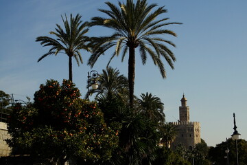 Sevilla, Torre del Oro and Guadalquivir river