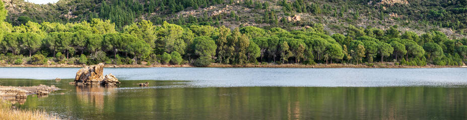 Fototapeta na wymiar The pond of Bidderosa oasi
