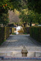 Sevilla, Reales Alc&aacute;zares