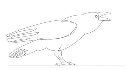 bird, crow drawing by one continuous line