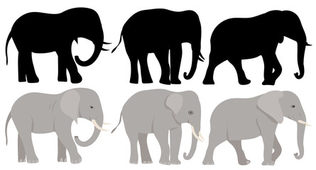 elephants flat design, isolated on white background, vector