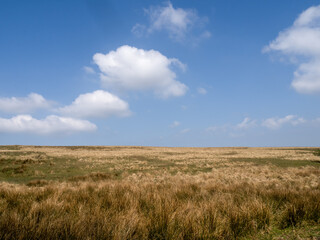 Exmoor moorland horizon in April.