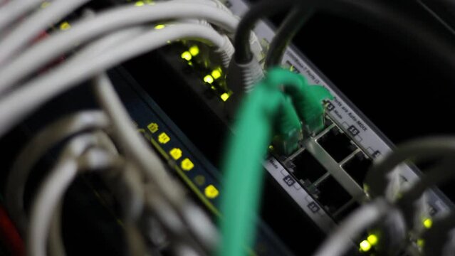 Working Ethernet switch in data center. UTP cables, jacks, blinking led lights.