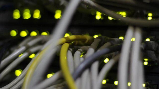 Working Ethernet switch in data center. UTP cables, jacks, blinking led lights.
