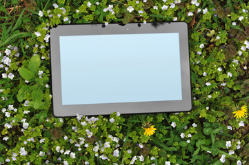    Digital tablet mock up lying on the ground with spring green grass and wild light blue flowers of Veronica. Studying or working online concept.
