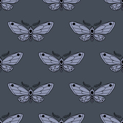 Fototapeta na wymiar Moth vector pattern, magical background, seamless repeat