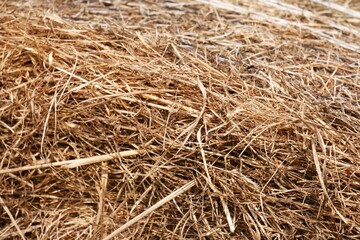 D&eacute;tail d'un ballot de paille