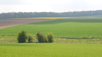 panorama de terres agricoles dans le nord de l'europe