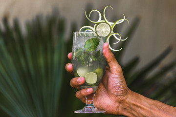 Hand holding fancy cocktail gin and tonic with garnish in tropical setting