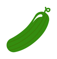 Cucumber Vegetable Icon. Healthy food. Vector illustration