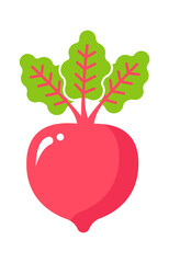 Turnip Vegetable Icon. Healthy food. Vector illustration