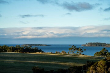 Farm looking out over the ocean, an organic grass farm and ranch, by the coast, beach and ocean. in Tasmania, Australia.