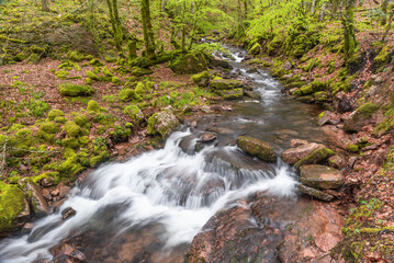 Arce Valley. Iruerreka stream. Navarra