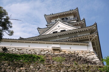 Fototapeta premium 高知城