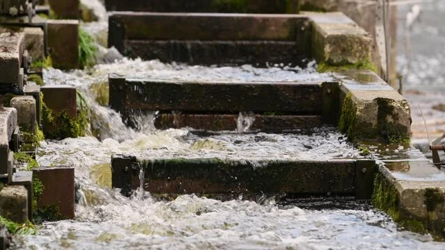 Filmmaterial von Wasserspiele einer Wassertreppe f&uuml;r Fische in einem Kurpark See in Grafenau im bayerischen Wald, Deutschland