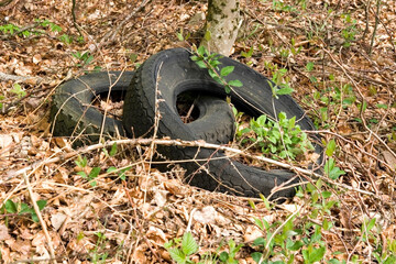 Altreifen in der Natur entsorgt 1