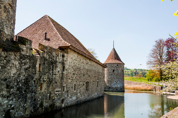 Fototapeta premium Seengen, Schloss Hallwyl, Wasserschloss, Burg, Ringmauer, Hallwilersee, See, Spazierweg, Insel, Aabach, Aargau, Frühling, Frühlingssonne, Frühlingsblüten, Schweiz