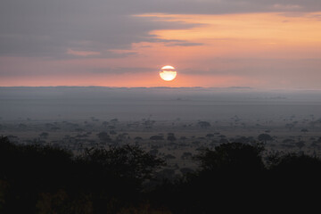 Obraz premium African sunset over the Serengeti plains