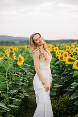Naklejka na ściany i meble Beautiful woman in a light dress walks among the sunflowers in the field