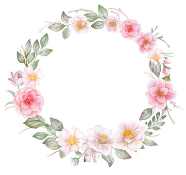 Floral round wreath, ring, frame with white and pink roses, camellia isolated on white background. Watercolor