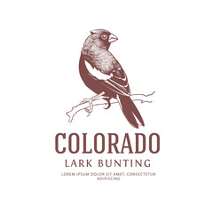 Colorado State Bird Vintage Logo. Lark Bunting