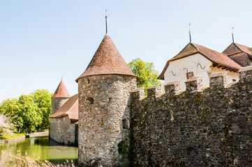 Seengen, Schloss Hallwyl, Wasserschloss, Burg, Hallwilersee, See, Spazierweg, Insel, Aabach, Aargau, Fr&uuml;hling, Fr&uuml;hlingssonne, Fr&uuml;hlingsbl&uuml;ten, Schweiz