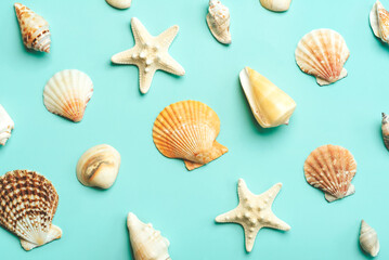 Summer holiday concept.Top view of creative pattern made of sea shells and starfish