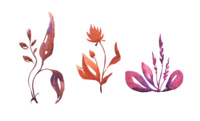 Watercolor hand drawn bunch of flowers on white.