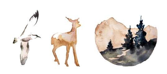 Calm watercolor red deer at sunrise on white background. Forest set