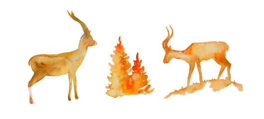 Obraz premium Deers watercolor set with tree isolated on white background