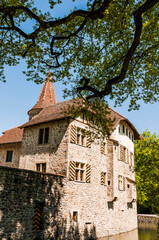 Fototapeta na wymiar Seengen, Schloss Hallwyl, Wasserschloss, Burg, Hallwilersee, See, Spazierweg, Insel, Aabach, Aargau, Frühling, Schweiz