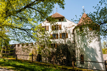 Seengen, Schloss Hallwyl, Wasserschloss, Burg, Hallwilersee, See, Spazierweg, Insel, Aabach, Aargau, Frühling, Schweiz