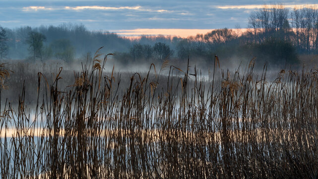 Poranek z mgłami nad Stawami Dojlidzkimi, Podlasie, Polska