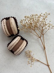 chocolate cookies