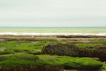 plage du nord de la France, plage à marée basse, rochers sur la plage