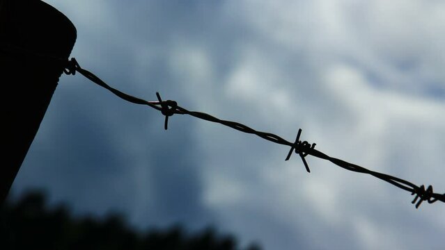 Close up of barbed wire.