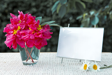 Blank signboard at outdoor with copy space for text and red peony in water glass