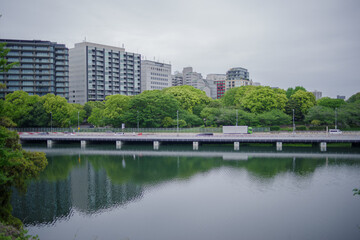 Fototapeta premium 千鳥ヶ淵と首都高速