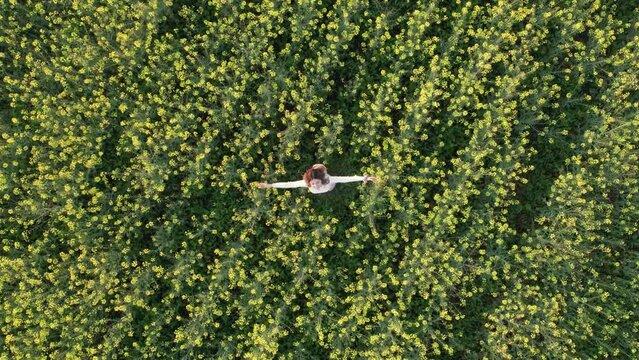 Aerial zenith shot of a girl twirling on a yellow flowers agricultural field.