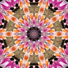 Colourful kaleidoscope art design abstract background with effect polygon circle ornament. Fractal...