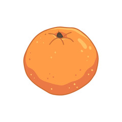 An orange in cartoon style. Vector isolated fruit food illustration.