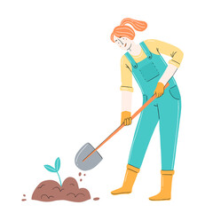 A young happy female gardener is planting seedlings in the ground in a cartoon flat style. Planting seedlings. Vector isolated illustration of a garden.