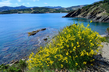 la côte vermeille