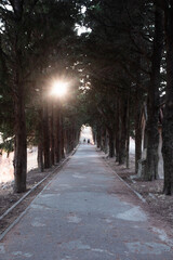 Obraz premium Cross on the Mount Filerimos, Greece, Rhodes