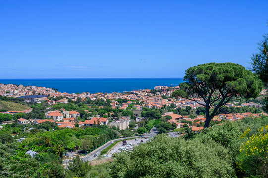 Banyuls