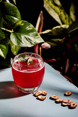 mixology red cocktail surrounded by plants