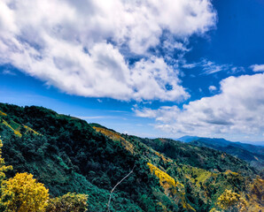 Naklejka premium autumn in the mountains