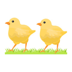 Pair of chicks Concept, pullets or Baby free range chicken vector color icon design, Poultry farming symbol, Meat or Eggs Production Sign, Protein and farmyard equipment stock illustration