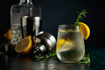 Cocktail gin tonic with natural ice, lemon, and rosemary.